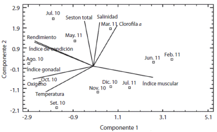 Proyecciones ortogonales del An&aacute;lisis de Componentes Principales (ACP) de las variables ambientales y los &iacute;ndices de condici&oacute;n de Arca 
 zebra