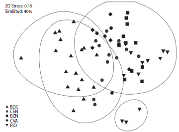 No Metric Multidimensional Scaling based on the abundance of fish species among sampling sites of Xel-Ha. BOC: Bocana; CEN: Center; BZN: North Branch; CVA: Cave y RIO: River.