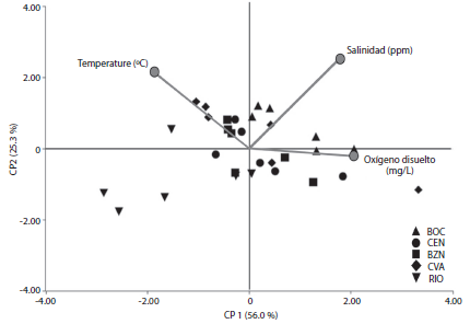 Principales component analysis, among sites and physicochemical variables. CP 1 and CP 2 represent the two principal components that explain the variation data. BOC: Bocana; CEN: Center; BZN: North Branch; CVA: Cave y RIO: River. Vectors represent physicochemical variables.