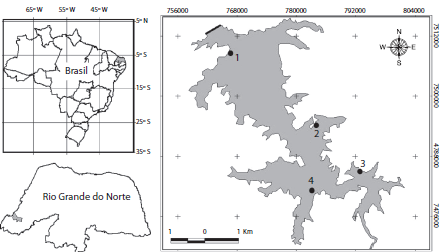 Location with the sampling points indicated by the numbers 1 through 4, of the Pau dos Ferros Reservoir, Apodi/ Mossor&oacute; River, Brazil.