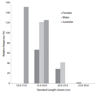 Distribution frequencies of the standard length classes of females (a), males (b) and juveniles (c) of Leporinus piau captured at the Pau dos Ferros Reservoir, Apodi/Mossor&oacute; River, Brazil.