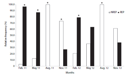 Relative frequency of the non-reproductive and reproductive individuals over time of Leporinus piau captured at the Pau dos Ferros Reservoir, Apodi/Mossor&oacute; River, Brazil. NREP = non-reproductive individuals; REP = reproductive individuals (* Significant difference p < 0.05).
