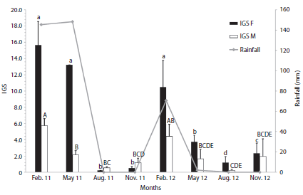 Monthly average gonadosomatic index (GSI) of the female (IGS F) and male (IGS M) of Leporinus piau captured at the Pau dos Ferros Reservoir, Apodi/Mossor&oacute; River, Brazil, and average rainfall during the months of capture. Different lower case letters indicate statistically significant differences among the months for females, and different upper case letters indicate statistically significant differences among the months for males.