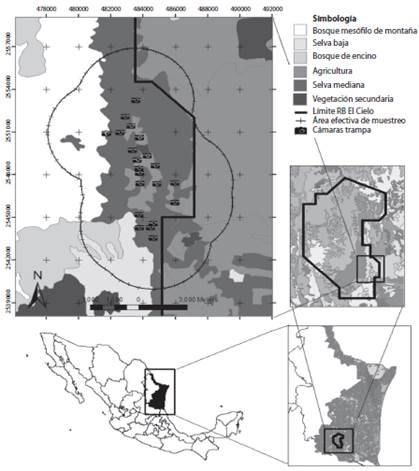 Study site and camera trap distribution in the Township of Gómez Farias in El Cielo Biosphere Reserve, Tamaulipas, Mexico.