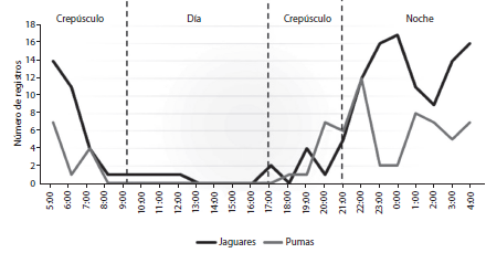Activity patterns of jaguar (Panthera onca) and cougar (Puma concolor) in the Township of Gómez Farias in El Cielo Biosphere Reserve, Tamaulipas, Mexico.