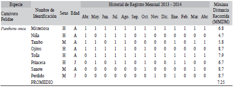 Historial del registro mensual de jaguares y Máxima Distancia Recorrida (MMDM) a la que se registraron mediante foto-trampeo en la cabecera municipal de Gómez Farías, Tamaulipas, México, (periodo: abril 2013 - abril 2014)