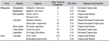 Presas potenciales reportadas para jaguar (Panthera onca) en la Reserva de la Biosfera El Cielo, Tamaulipas, México, entre abril 2013 y abril 2014, Índices de abundancia relativa (IAR) y patrones de actividad de las especies registradas