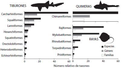 Number of species, genera and families by order of Mexican chondrichthyans.