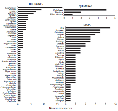 Number of species by genera of Mexican chondrichthyans.