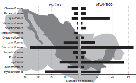Composition of number of species by order of Mexican chondrichthyans within each littoral.
