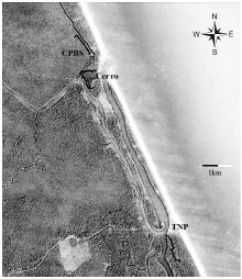 Study region encompassing the Northern edge of Tortuguero National Park (TNP) and the Southern extreme of the Barra del Colorado Wildlife Refuge including the transects at Caño Palma Biological Station (CPBS) and the Cerro.