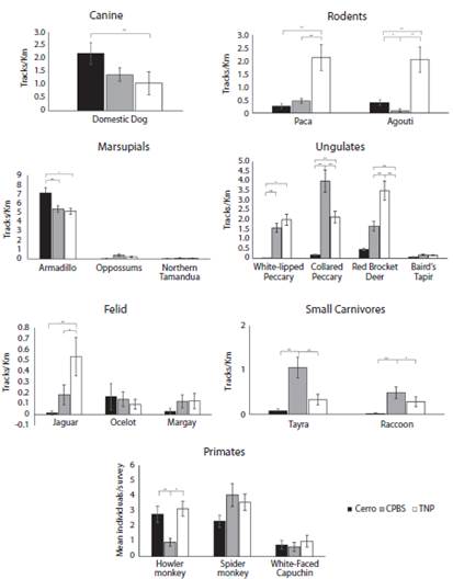 Mean mammal density with standard error bars. Kruskal-Wallis species-specific comparisons across the three study transects separated by taxonomic group; *p<0.05; **p<0.01.