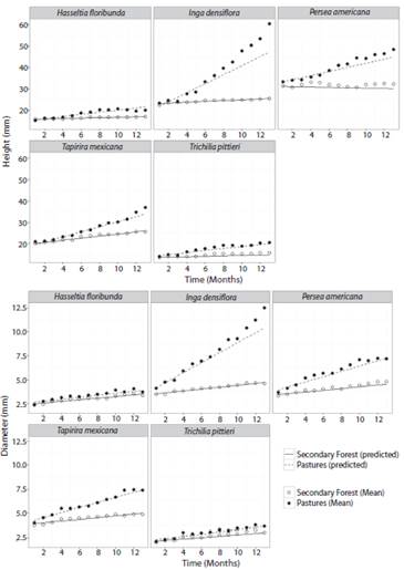 Monthly means of height and diameter in seedlings of five tree species growing in forest or pastures during 13 months. Lines represent predicted values according to mixed models.