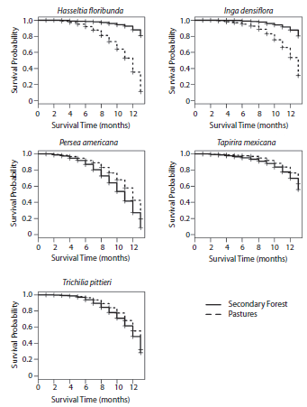 Survival probability curves of seedlings of five tree species growing in the understory of secondary forests and in adjacent pastures.