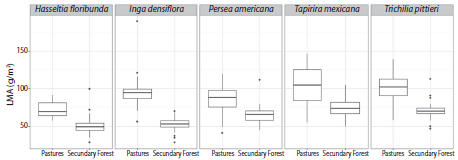 Leaf mass per area (LMA) of seedlings of 5 tree species in the understory of secondary forests and in pastures. Plants growing in pastures had higher LMA than plants growing in secondary forest across all species. Horizontal lines represent the median, boxes represent the 25th and 75th percentiles, whiskers represent 95 % confidence intervals according to the normal distribution, and points represent outliers.