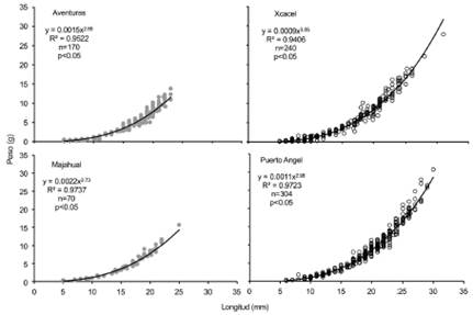 Ocypode quadrata. Fitted models of the length-weight relationship at four beaches of the Mexican Caribbean. Grey dots represent highly disturbed beaches, and white circles represent beaches with higher conservation values.