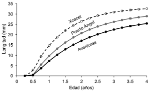 Ocypode quadrata. Growth curves fitted to the Von Bertalanffy growth model in three beaches of the Mexican Caribbean. Model parameters are shown in Table 4.