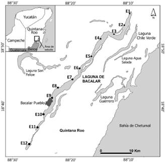 Bacalar Lagoon. E1-E12: sampling stations.