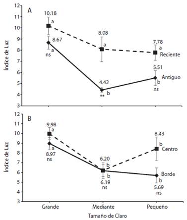 Light index estimates for: A. gap age vs. gap size; B. relative position with respect to the gap center (center-border) vs. gap size. Vertical bars indicate standard errors, asterisks indicate statistically significant differences between A. recent-old; B. center-border (P < 0.01). Letters indicate statistically significant differences among gap sizes (P < 0.05).