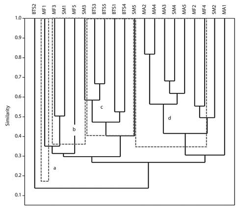 Cluster analysis between plots of Puebla of Morelia (PM) and Kilómetro 120 (Km 120), with a significance of (p<0.05). The letters a, b, c and d, in gray rectangles with dashed lines represent the four groups formed.