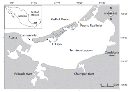 Sampling sites in Terminos Lagoon, Gulf of Mexico.