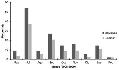 Monthly distribution of the number of individuals and biomass of Tylosurus pacificus captured by fishermen in Utr&iacute;a Park between April 2008 and February 2009 (n=84).