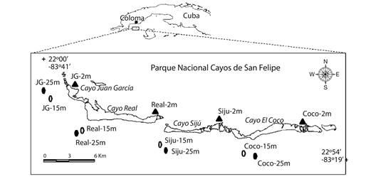 Location of the PNCSF and sample stations. Mangroves stations at 2 m deep (triangles), reef stations at 15 m (solid circle), reef stations at 25 m (open circle).