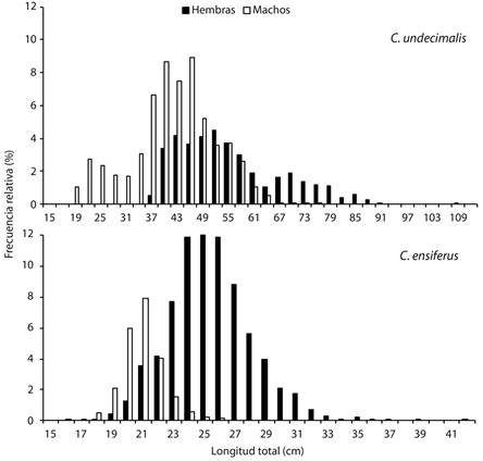 Distribution of lengths for male and females of C. undecimalis y C. ensiferus of July 2009 to September 2010 in the Laguna de Tacarigua, Venezuela.