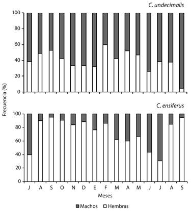 Monthly sex ratio of C. undecimalis y C. ensiferus of July 2009 to September 2010 in the Laguna de Tacarigua, Venezuela.