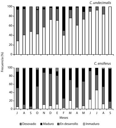 Monthly variation of relative frequency maturity stages of females and males of C. undecimalis y C. ensiferus of July 2009 to September 2010 in the Laguna de Tacarigua, Venezuela.