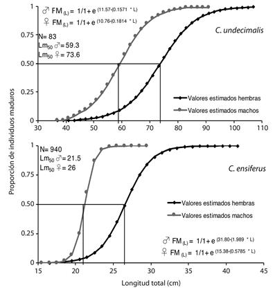 Sexual maturity curve and size at maturity (L50) of females and males of C. undecimalis y C. ensiferus in the Laguna de Tacarigua, Venezuela.