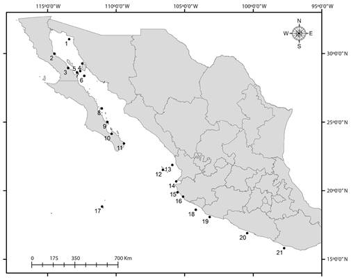 Study area: 1 (Isla San Jorge), 2 (Islas Encantadas), 3 (Bah&iacute;a de los &Aacute;ngeles), 4 (Isla Tibur&oacute;n), 5 (Archipi&eacute;lago San Lorenzo), 6 (Isla San Pedro M&aacute;rtir), 7 (Isla San Esteban), 8 (Loreto), 9 (Isla San Jos&eacute;), 10 (Bah&iacute;a de la Paz), 11 (Cabo Pulmo), 12 (Islas Mar&iacute;as), 13 (Isla Isabel), 14 (Islas Marietas), 15 (Tenacatita), 16 (Chamela), 17 (Manzanillo), 18 (Islas Revillagigedo), 19 (Faro de Bucer&iacute;as), 20 (Ixtapa), 21 (Huatulco).