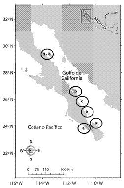 Areas with official permits for the capture of ornamental reef fish species under federal protection. A) Divers Gulf), b) Reef Aquarium), c) Cooperative Women Gulf), d) San Rafael and San Francisquito, e) Sea of Cortez.