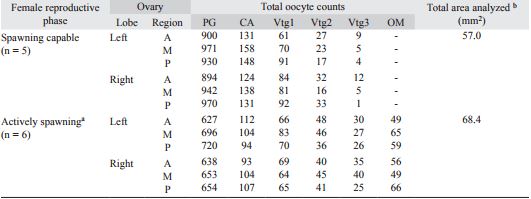 Oocyte density (number per unit area) frequencies observed in anterior, middle and posterior regions of left and right ovary lobes of Lachnolaimus maximus females in different reproductive phases and sub-phases.
