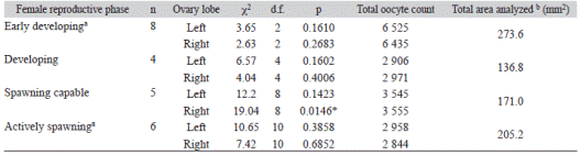 Chi-square goodness-of-fit test results for oocyte density frequencies in anterior, middle and posterior regions of left and right ovary lobes of Lachnolaimus maximus females in four reproductive phases and sub-phases