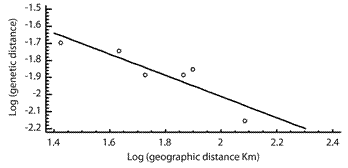 Correlation between difference of genetic distance and geographic distance between species of the Ceratozamia norstogii complex (Y = - 0.768795 - 0.621495 * X; F = 16.86; df = 5; p = 0.01; R = - 0.89; R2 = 0.80).