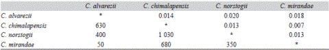 Elevation difference between the species (m.a.s.l.) (below the asterisks) and Nei&rsquo;s genetic distance after Lynch and Milligan (1994) (above the asterisks) matrix between populations of the Ceratozamia norstogii complex