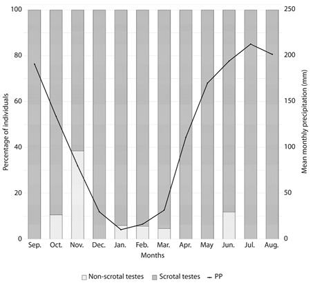 Reproductive condition of adult males of Artibeus amplus (n=120), based on external reproductive characteristics, captured in Cueva del Parque Las Escaleras during the study. Scrotal testes (dark grey), and non-scrotal testes (light grey).