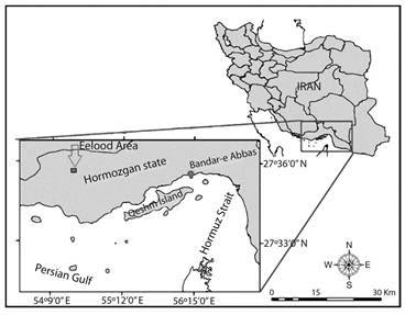 Sampling locations in Eelood Area, Hormozgan Province, Southern Iran.
