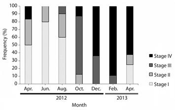 Sodhiana iranicaSharifian, Kamrani, & Sharifian, 2014. Frequency of maturation stages in adult females from Eelood Area, Hormozgan Province, Southern Iran. April 2012-April-2013.