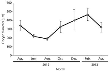 Sodhiana iranicaSharifian, Kamrani, & Sharifian, 2014. The bimonthly fluctuation of oocytes diameter at Eelood Area, Hormozgan Province, Southern Iran. Error bars &plusmn; standard error (SE).