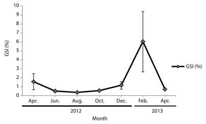 Sodhiana iranica Sharifian, Kamrani, & Sharifian, 2014. Temporal trends of the gonadosomatic index at Eelood Area, Hormozgan Province, Southern Iran. Error bars &plusmn; standard error (SE). April 2012-April-2013.