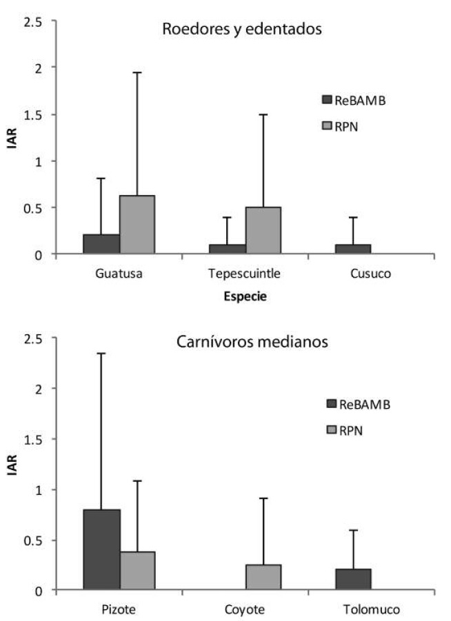 Smaller mammals Abundance Index in Nectandra Cloud Forest Reserve (RPN) and Alberto Manuel Brenes Biological Reserve, San Ramón, Alajuela, Costa Rica, 2008.
