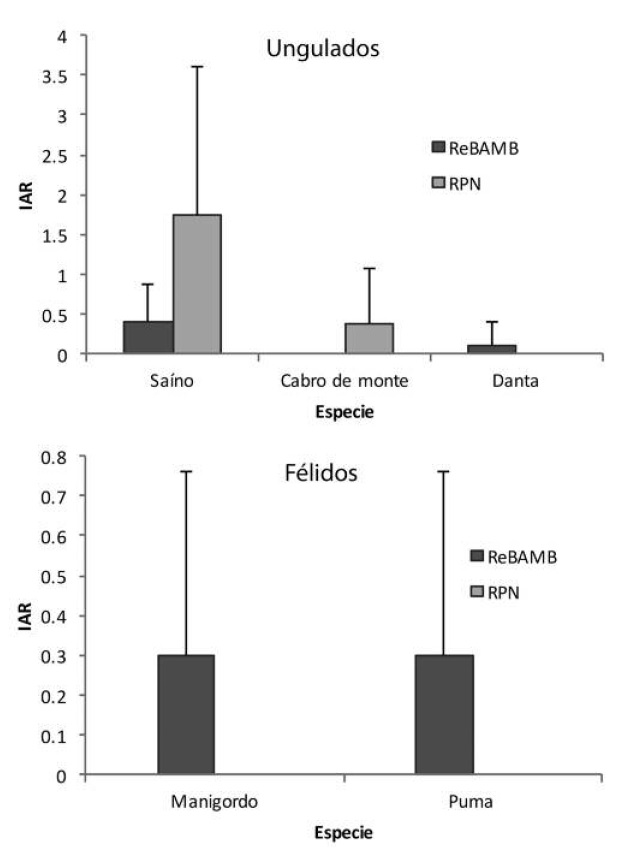 Larger mammals Abundance Index in Nectandra Cloud Forest Reserve (RPN) and Alberto Manuel Brenes Biological Reserve, San Ramón, Alajuela, Costa Rica, 2008.