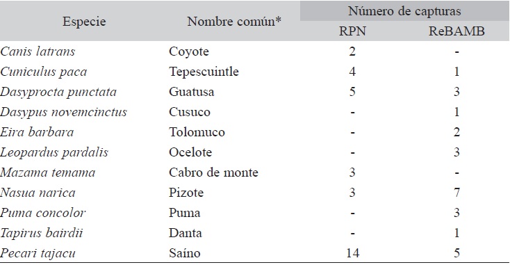 Especies registradas durante el estudio en la Reserva Privada Nectandra (RPN) y en la Reserva Biológica Alberto Manuel Brenes (ReBAMB)