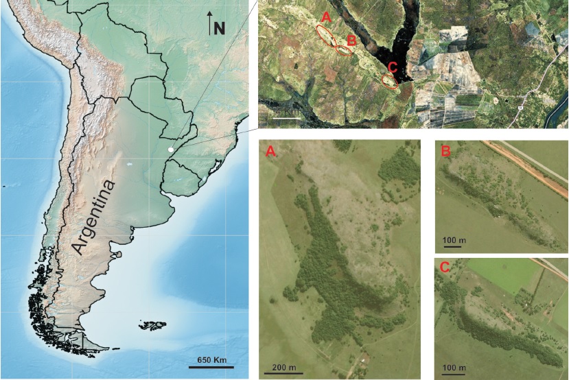 Paraje Tres Cerros. Ovals indicate the three hills: Nazareno (A), Chico (B), and Capar&aacute; (C).