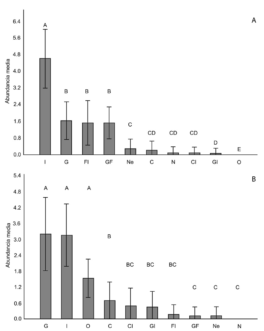 Comparison of average abundance of individuals (bars &plusmn; standard deviation) of trophic guilds between forest (A) and grasslands (B) of the rocky ourtcrops of Paraje Tres Cerros, Corrientes, Argentina. References: Carnivore (C), Carnivore-Insectivore (CI), Frugivore-Insectivore (FI), Granivore (G), Granivore-Frugivore (GF), Granivore-Insectivore (GI), Insectivore (I), Necrophage (Ne), Nectarivore (N) and Omnivore (O ). Nonparametric Kruskal-Wallis test, forest: H = 676.82, p < 0.0001; pasture: H = 136.97, p < 0.0001; different letters assigned to each bar within the graph indicate significant differences in abundances of individuals between trophic guilds.