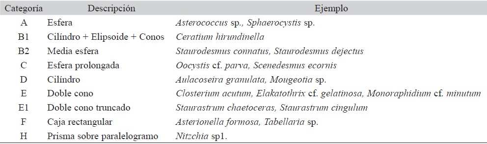 Categor&iacute;as de forma modificadas de Alba y Jim&eacute;nez (com. pers.)