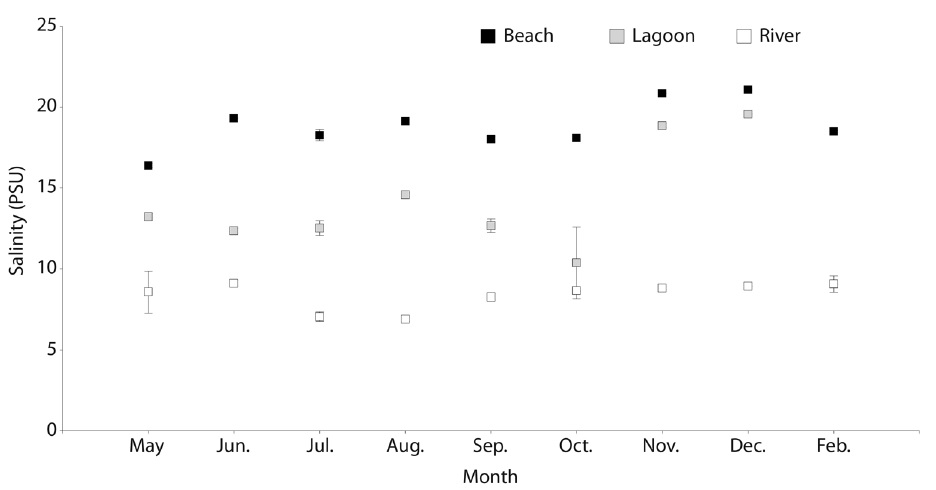 Average salinities (PSU) and standard error, registered at the three sampling sites River; Lagoon; and Beach at the Xel-H&aacute; cove (XH), Quintana Roo, Mexico.