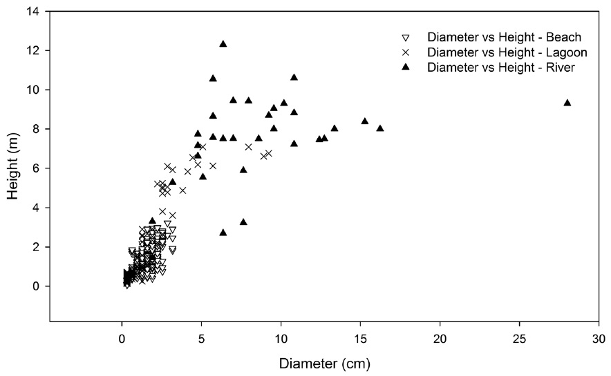 Trunk diameter (cm) vs. tree height (m) of Rhizophora mangle plants at the three sampling plots River (triangle), Lagoon (crosses) and Beach (inversed triangle), in the Xel-H&aacute; Park, Quintana Roo, Mexico.